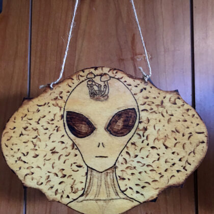 alien mushrooms plaque wood burned art