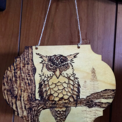 owl plaque wood burned art