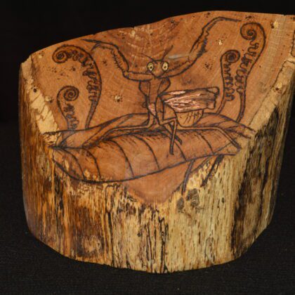 wooden chunk praying mantis nature leaves bugs wood burning pyrography