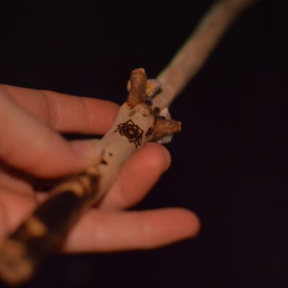 Wands